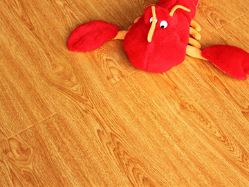 GL8628�Ű���ľ