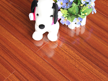 GL5862������ľ