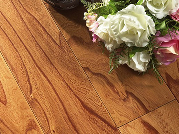 ��ɫ����