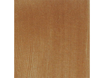 3850-ѩ��